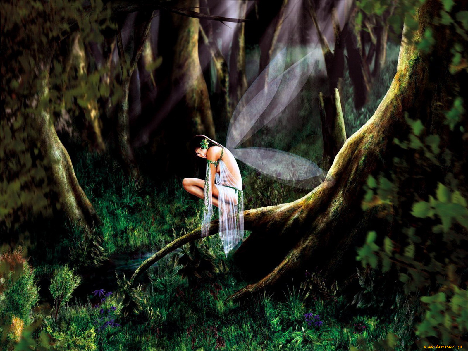 in, the, woods, v1, , 